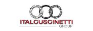 Italcuscinetti SpA