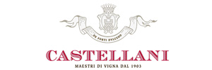 CASTELLANI S.p.A.